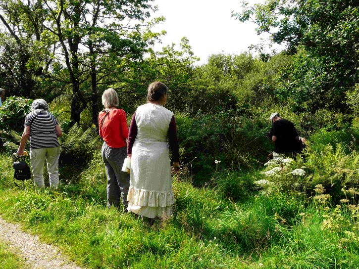 image Association_Flora_armorica.jpg (0.5MB)
Lien vers: AssociationFloraArmorica